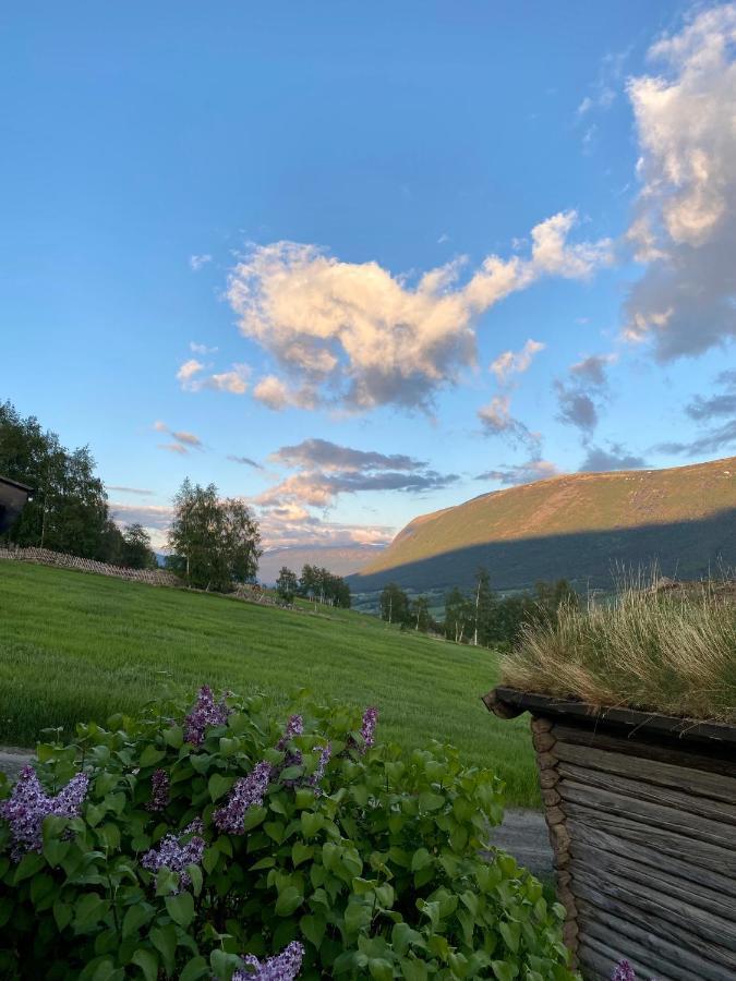 Kufjoset Villa Skjak Bagian luar foto